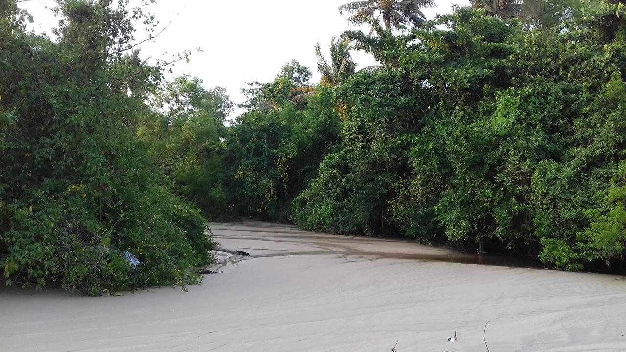 Marari Coastal Dreams Home Stay Alappuzha Bagian luar foto